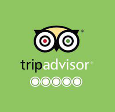 tripadvisor